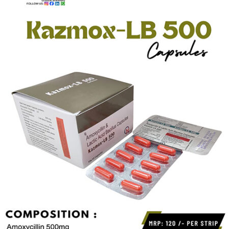 Amoxycillin and Lactic Acid Bacillus Capsules